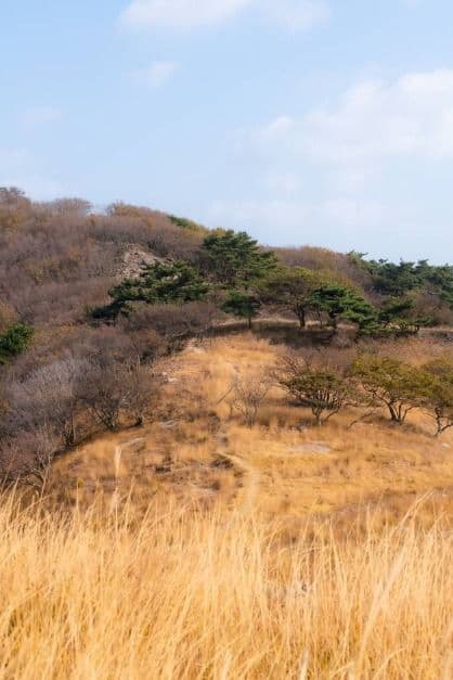 인천 굴업도 가는법 배편 예약부터 개머리언덕 코끼리 바위 백패킹 총정리_굴업도_4