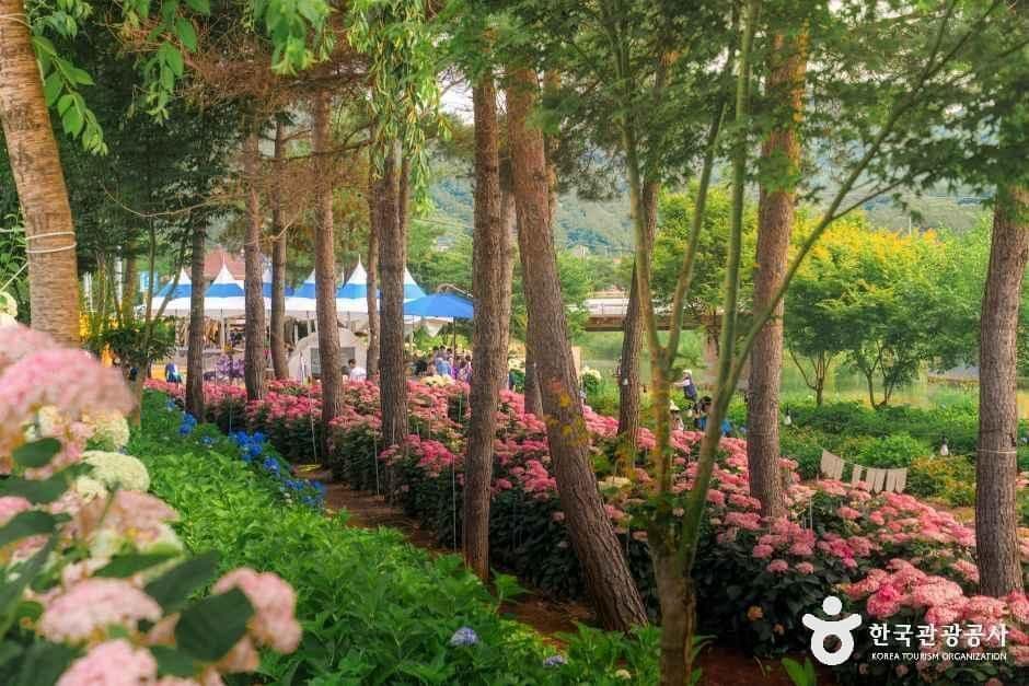 충남_공주_유구색동수국정원_외부_3-2.jpg