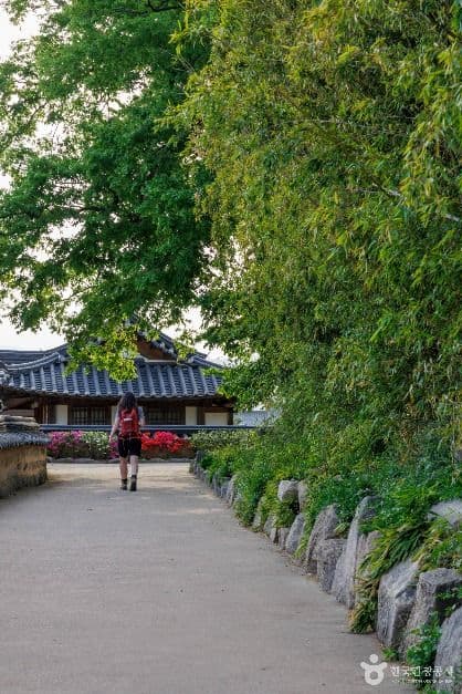 경주 교촌마을