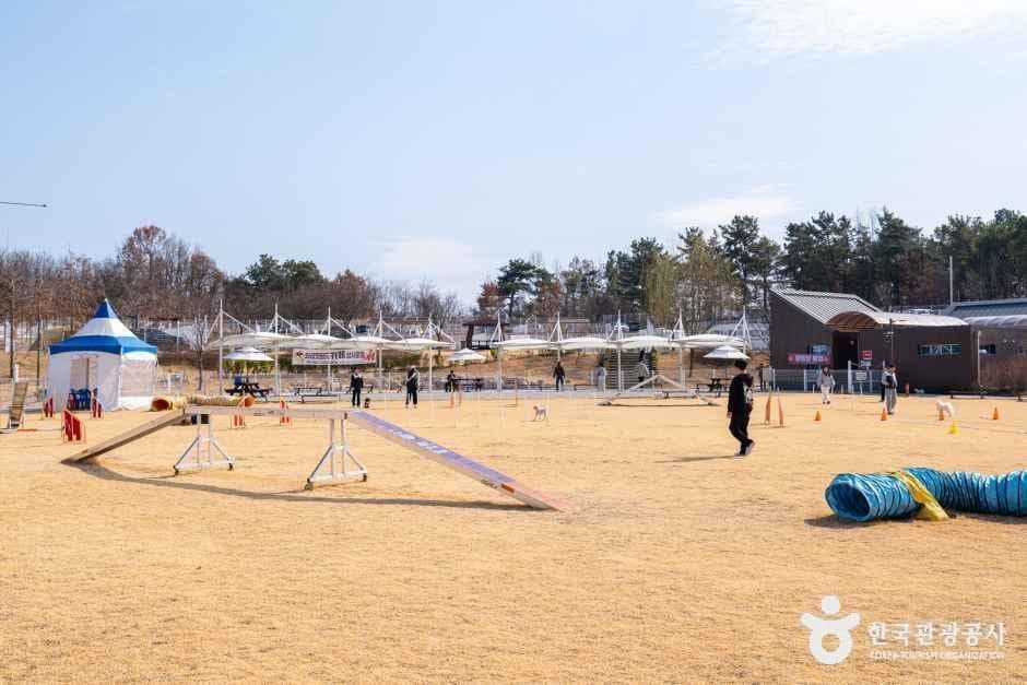 경북_의성_의성펫월드_외부_1.jpg