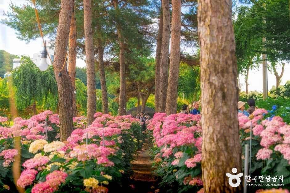충남_공주_유구색동수국정원_외부_5-4.jpg