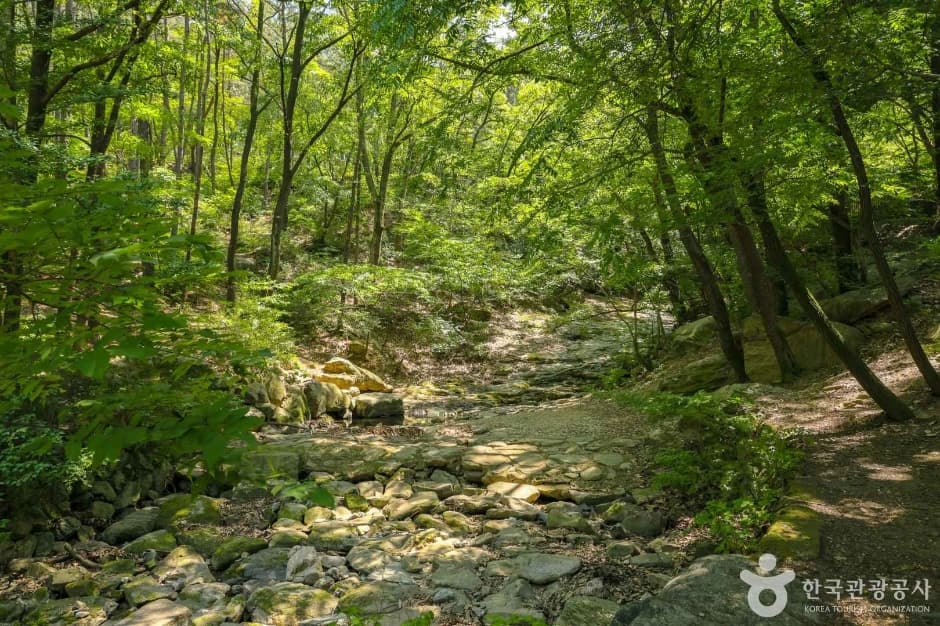 대구앞산공원 (6)