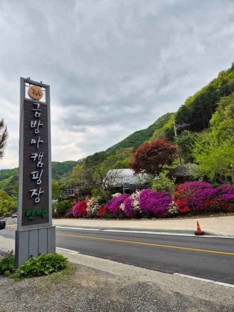 영월_금방아 민박캠핑장 (2).jpg