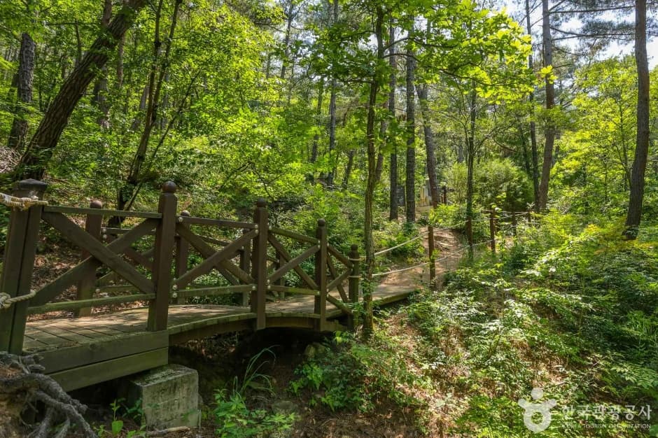 대구앞산공원 (1)