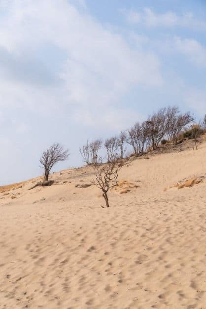 인천 굴업도 가는법 배편 예약부터 개머리언덕 코끼리 바위 백패킹 총정리_굴업도_15