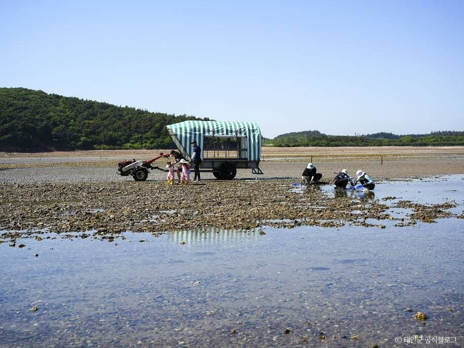 태안_병술만어촌체험마을 (2)