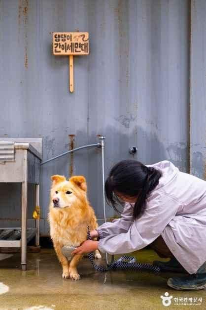 충남_태안_병술만어촌체험마을_체험_7.jpg