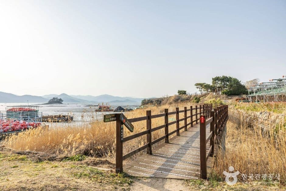 순천_와온해변 (2)