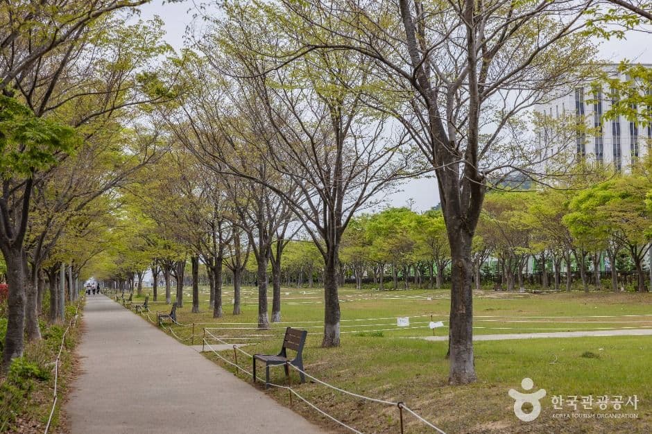 부산_아미르공원 (3)