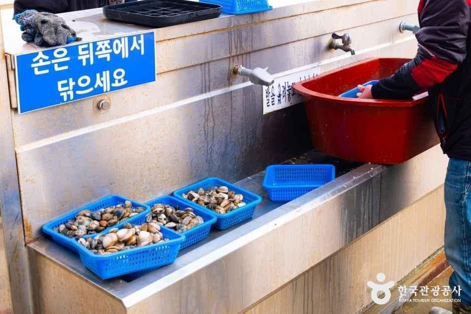 충남_태안_병술만어촌체험마을_체험_8.jpg