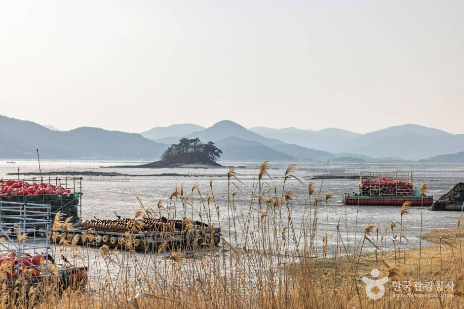 순천_와온해변 (3)