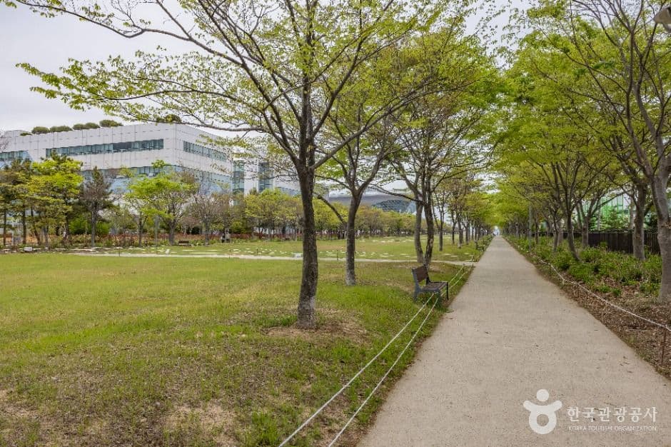 부산_아미르공원 (4)