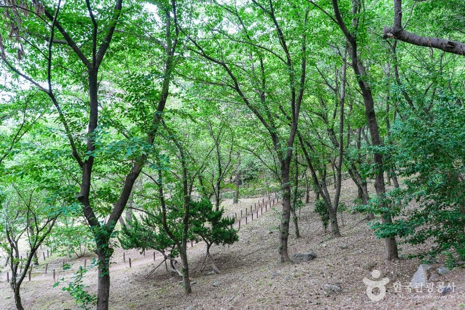 울산_학성공원 (4)