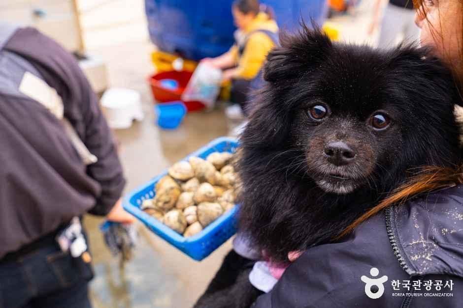 충남_태안_병술만어촌체험마을_체험_9.jpg
