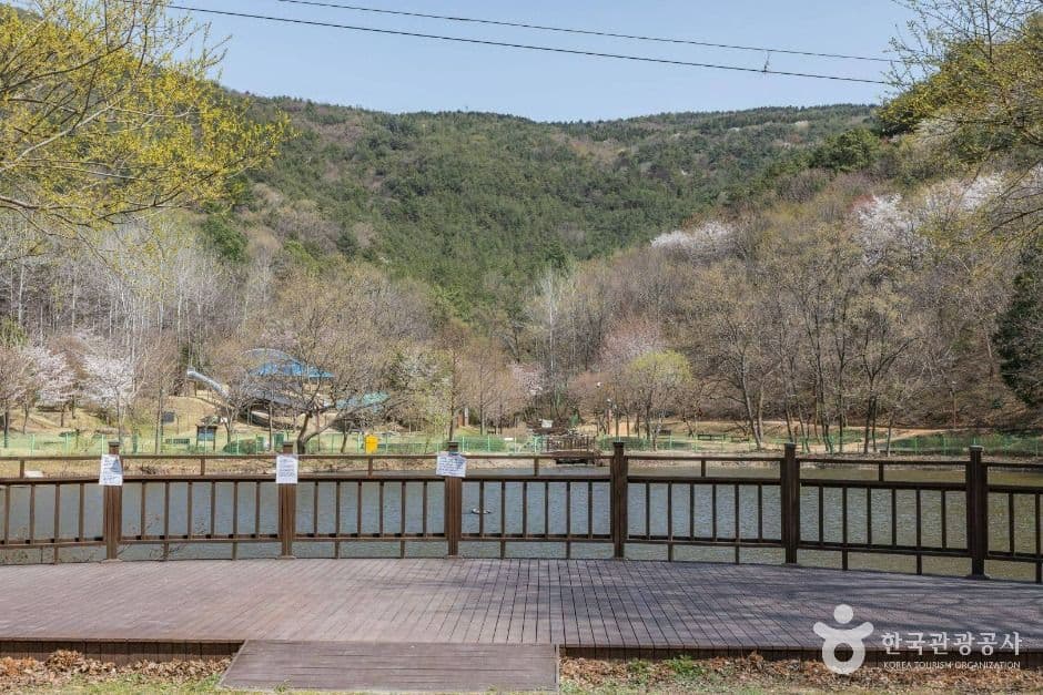 기적의놀이터 4호 (2)