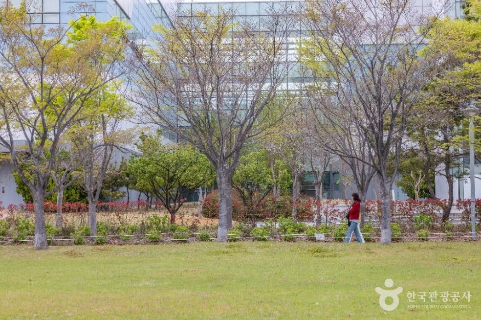 부산_아미르공원 (5)