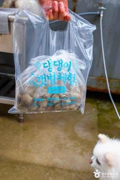 충남_태안_병술만어촌체험마을_체험_10.jpg