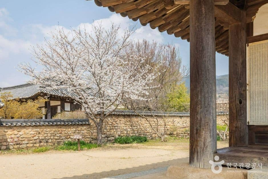 순천 낙안읍성 (5)