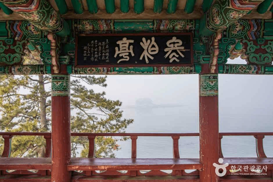 충남_서천_서천 마량리 동백나무숲_외부_7.png