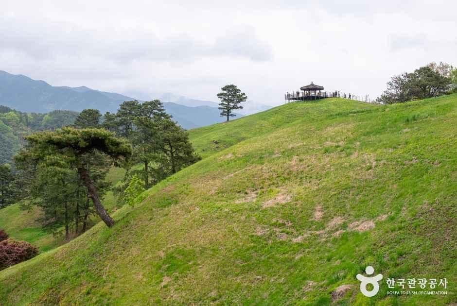 전남_구례_지리산치즈랜드_외부_7.jpg