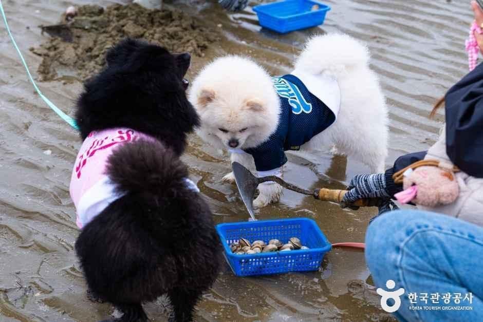 충남_태안_병술만어촌체험마을_체험_2.jpg