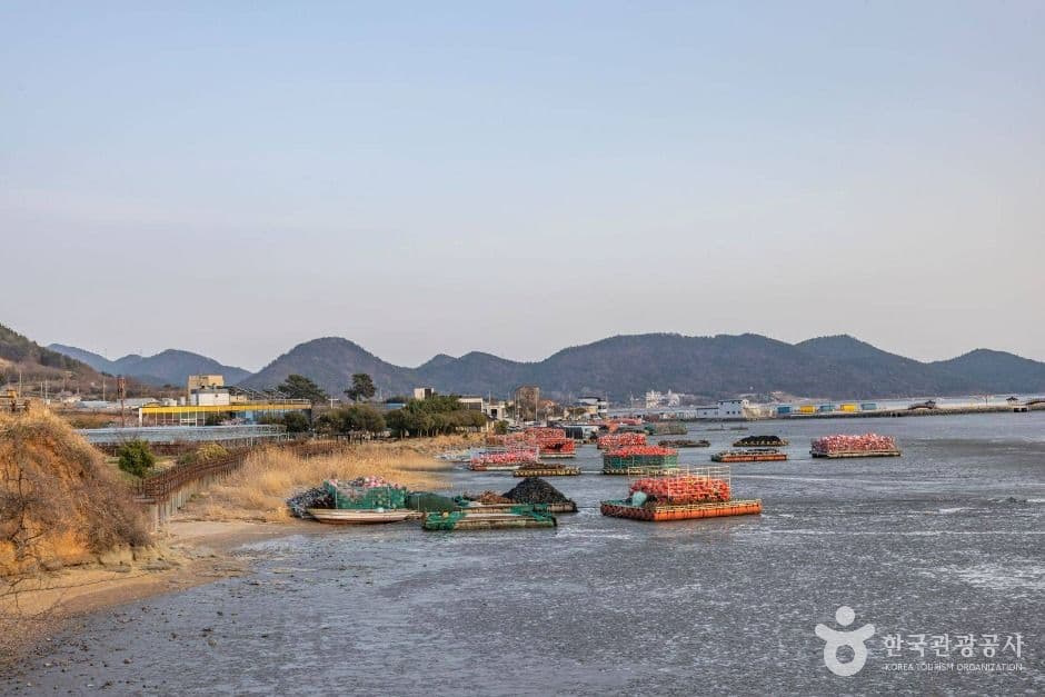순천_와온해변 (7)