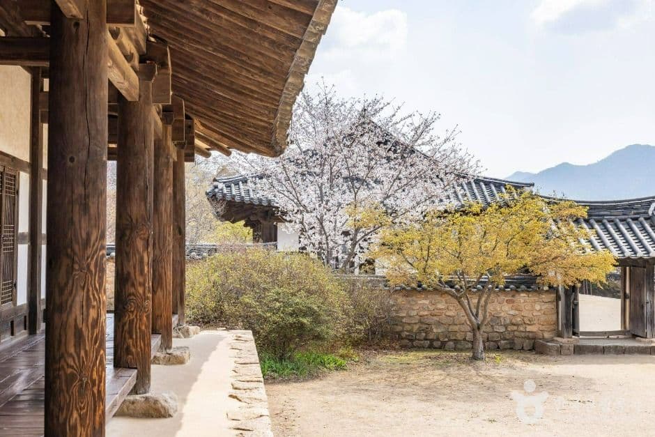 순천 낙안읍성 (7)
