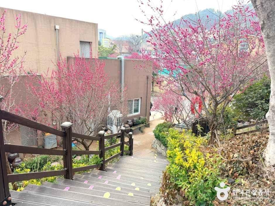 전남_순천_탐매마을_외부_4.jpg