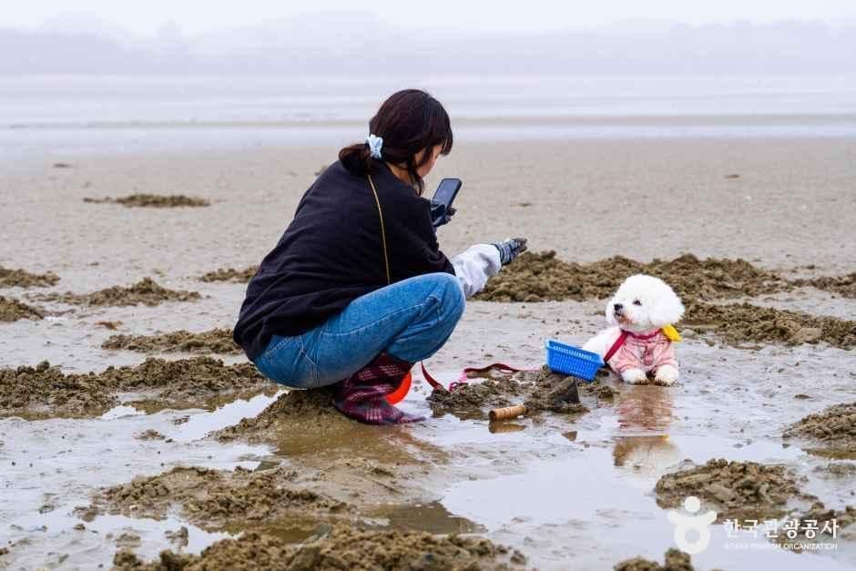 충남_태안_병술만어촌체험마을_체험_3.jpg
