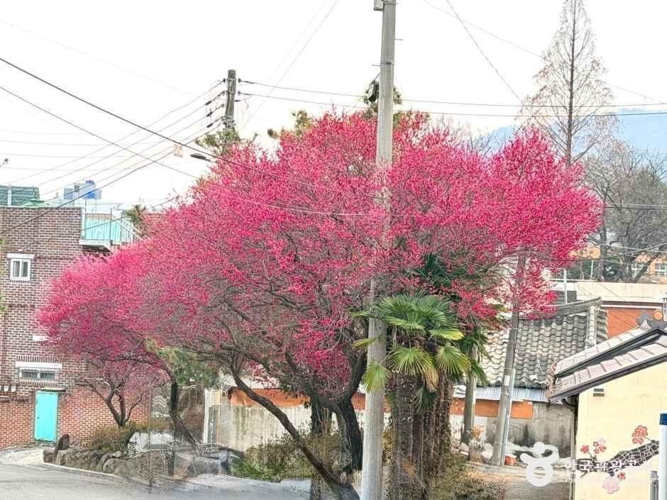 전남_순천_탐매마을_외부_5.jpg