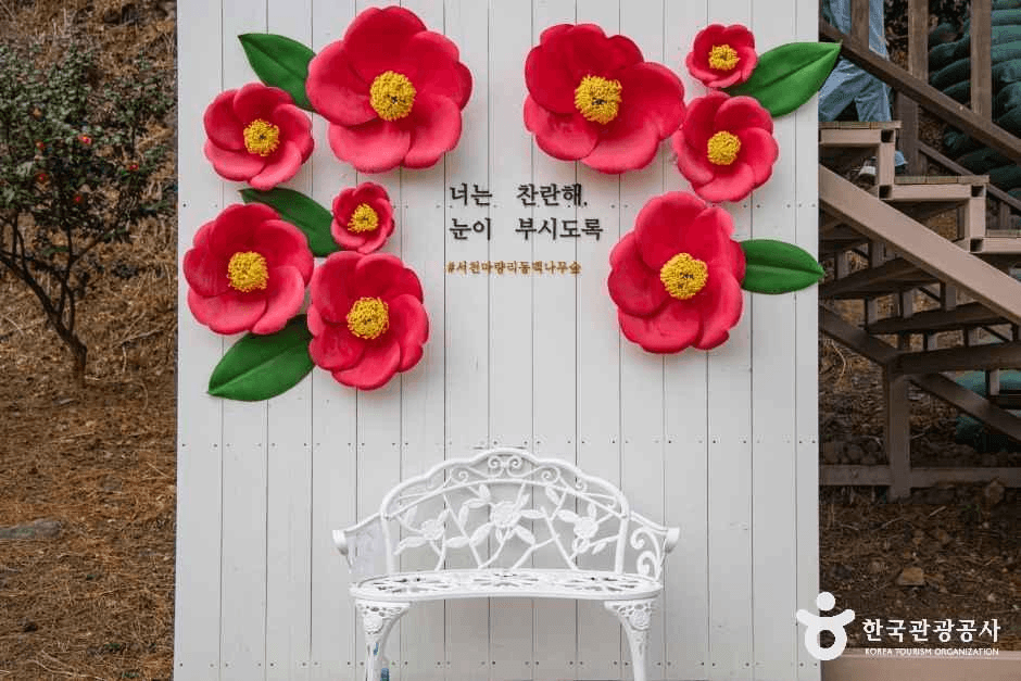 충남_서천_서천 마량리 동백나무숲_외부_4.png