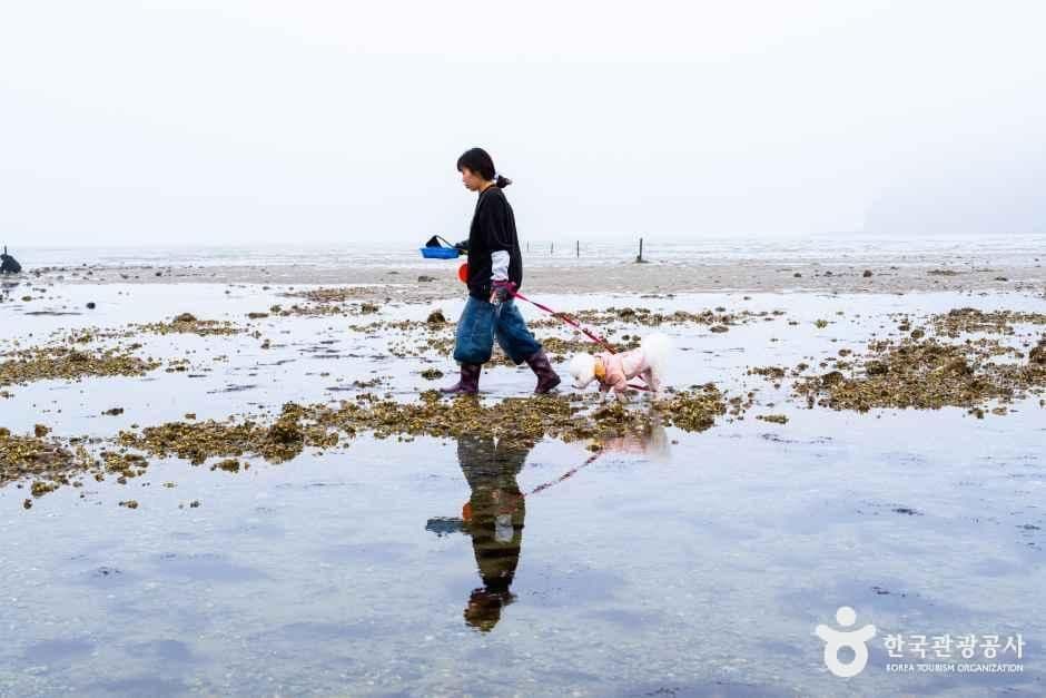 충남_태안_병술만어촌체험마을_체험_5.jpg