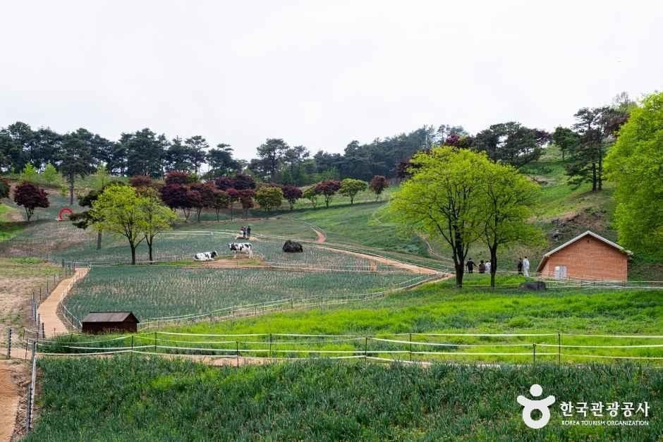 전남_구례_지리산치즈랜드_외부_3.jpg