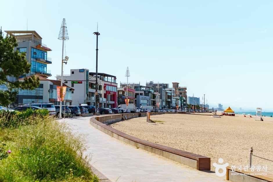 강릉_안목해변 (3).jpg