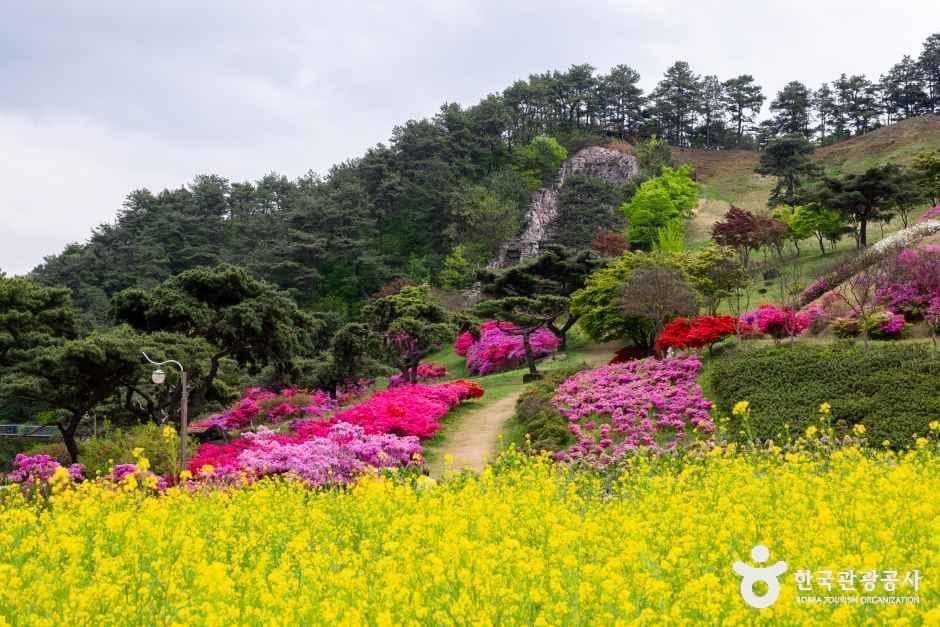 전남_구례_지리산치즈랜드_외부_4.jpg