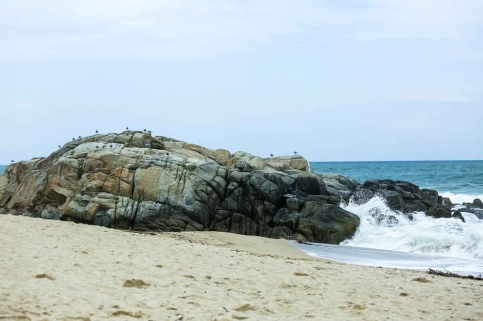사근진해변_6