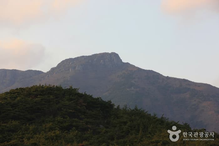 영축산_008