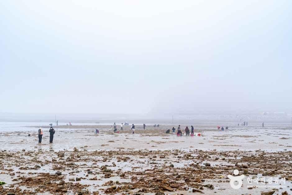 충남_태안_꽃지해수욕장_3.jpg