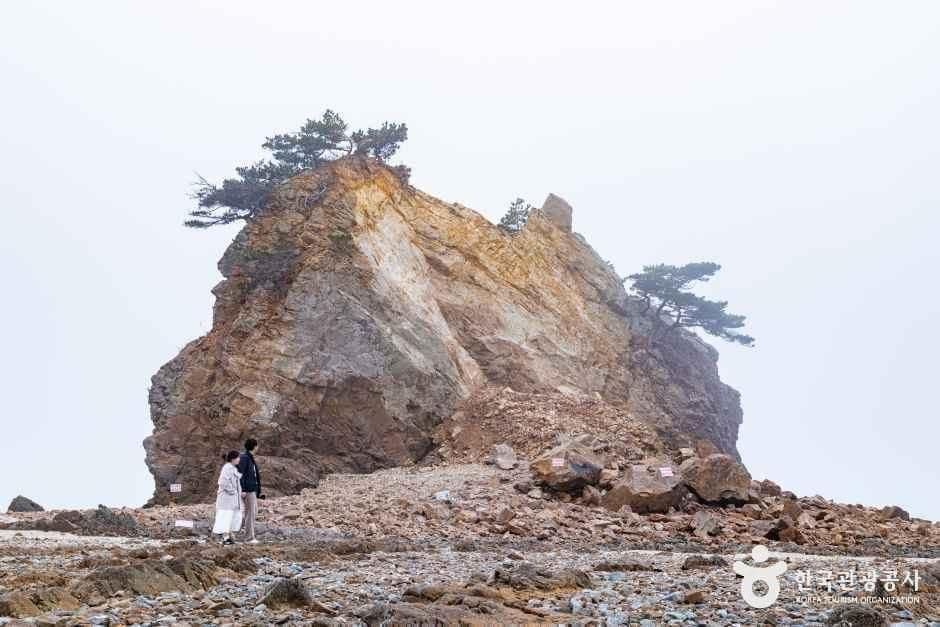 충남_태안_꽃지해수욕장_4.jpg