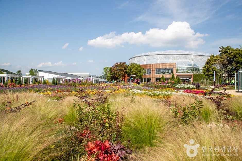 순천만국가정원 (1)