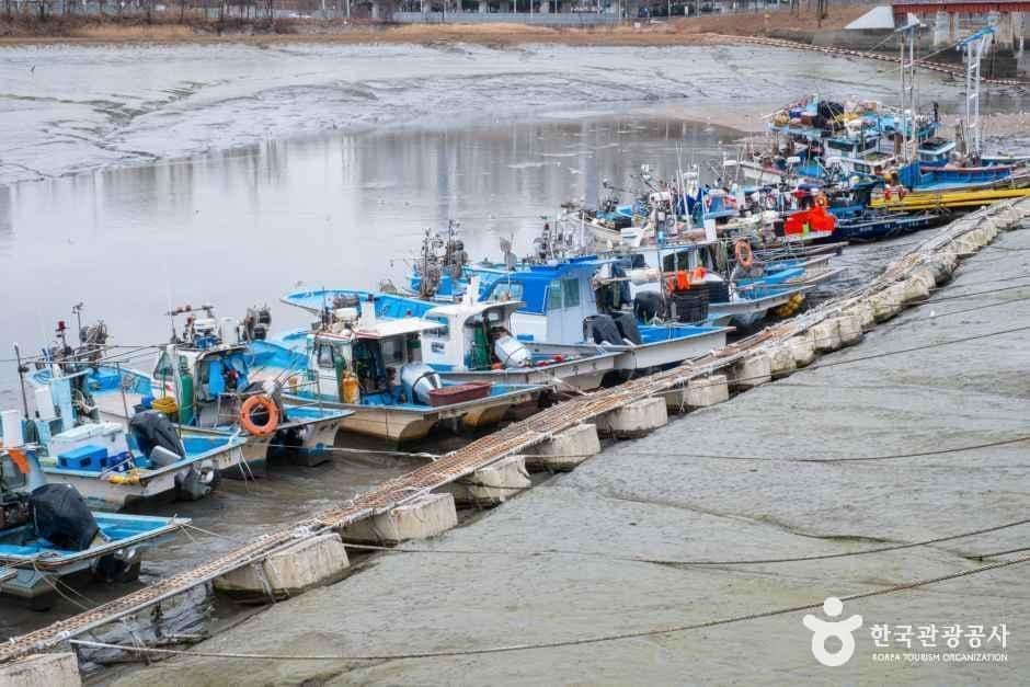 인천_남동_소래포구_전경_1.jpg