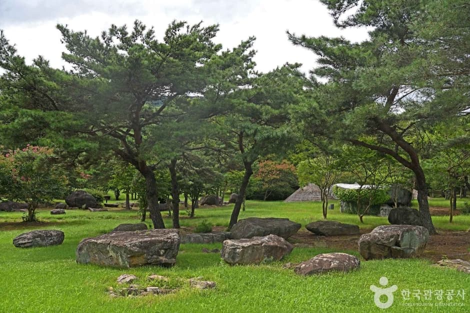 순천 고인돌 공원 (5)