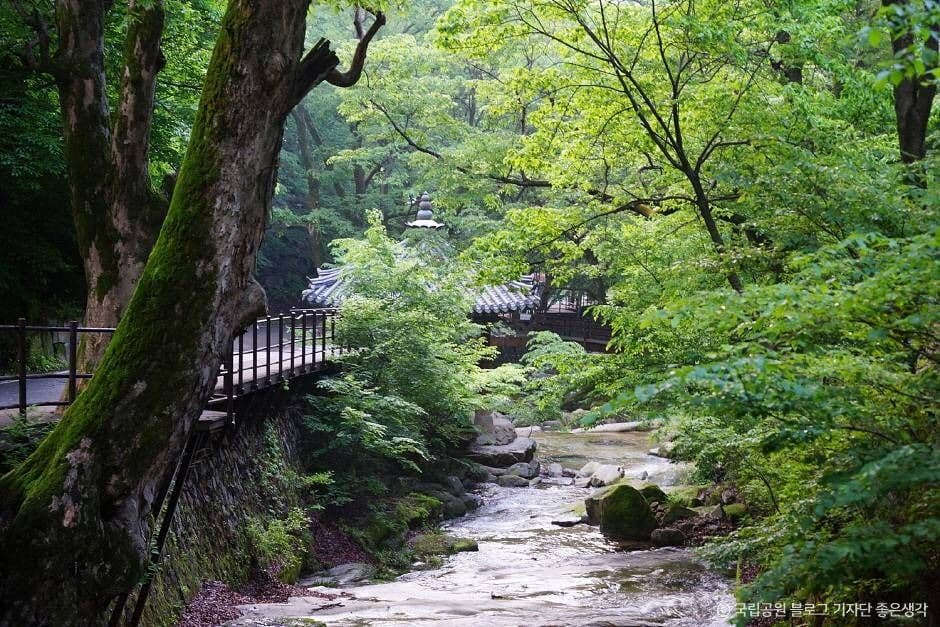 계룡산국립공원 (3)