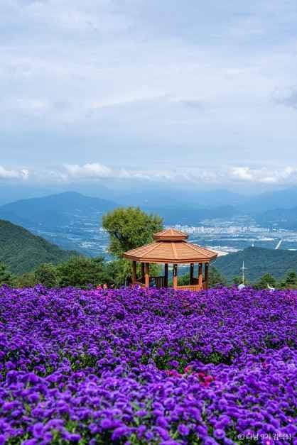 거창_거창 별바람언덕 (3).jpg
