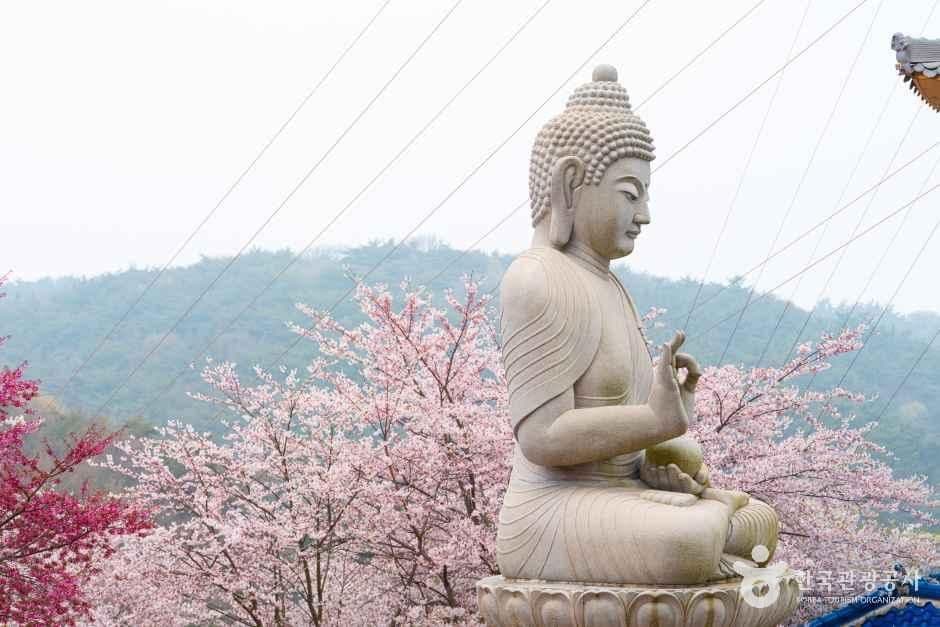 충남_태안_안면암_7.jpg