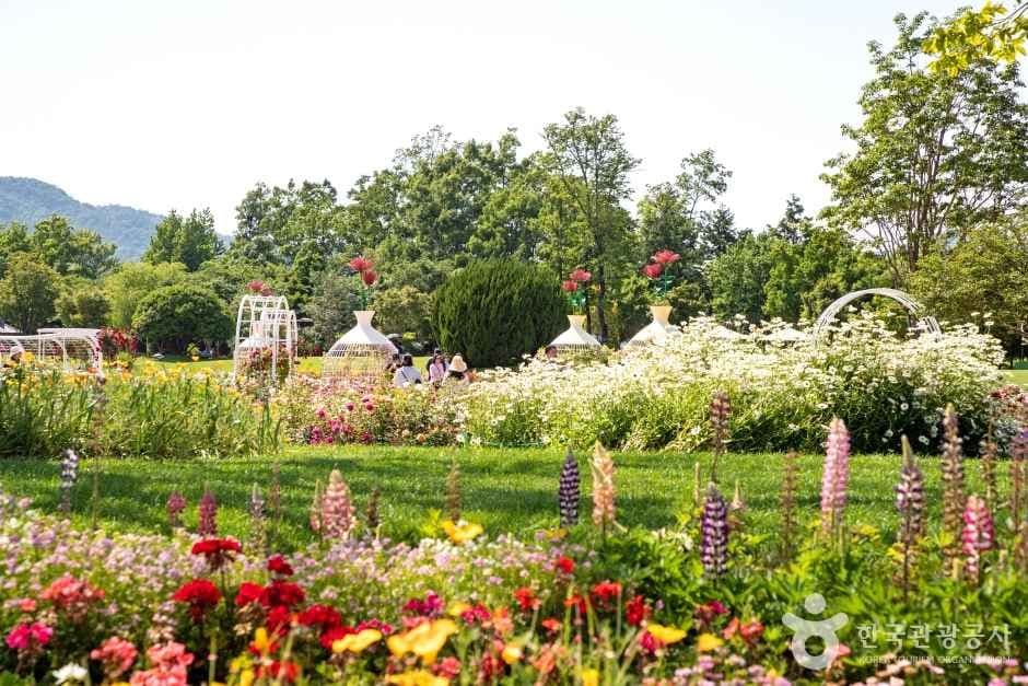 순천만국가정원 (4)
