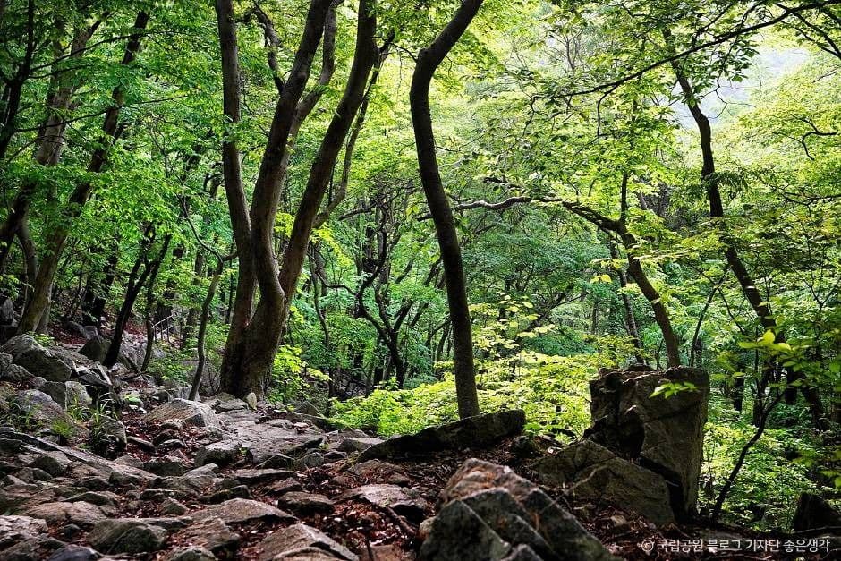 계룡산국립공원 (4)
