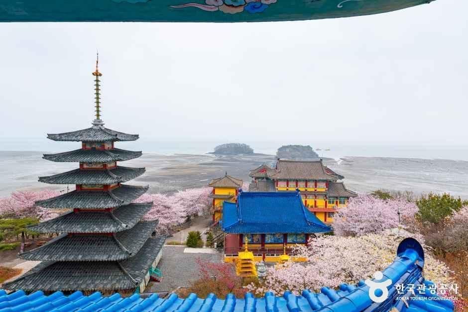 충남_태안_안면암_1.jpg