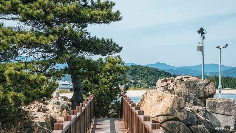 고성_능파대 (강원평화지역 국가지질공원) (3)