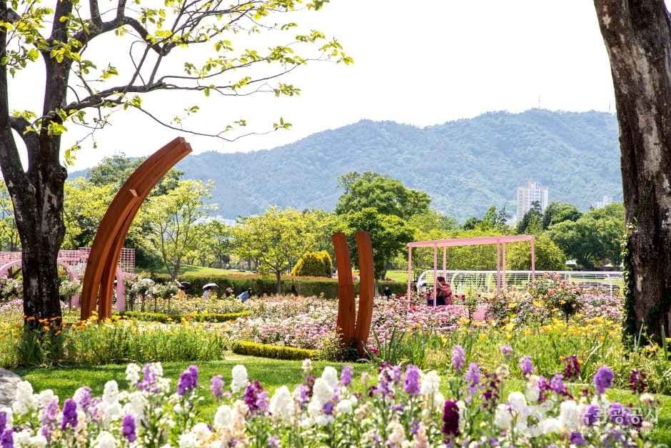 순천만국가정원 (5)